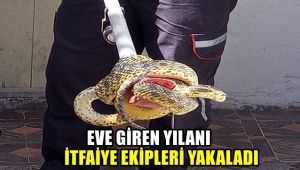Eve giren yılanı itfaiye ekipleri yakaladı