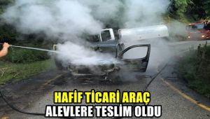 Hafif ticari araç alevlere teslim oldu