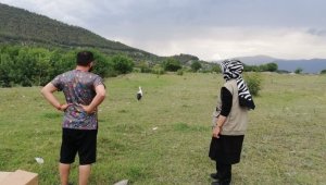 Tedavisi tamamlanan yaralı leylek doğaya bırakıldı