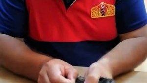Çatıda ipe takılan ebabil kuşunu itfaiye ekipleri kurtardı
