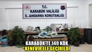 Karabük'te 149 kök kenevir ele geçirildi