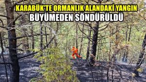 Karabük'te ormanlık alandaki yangın büyümeden söndürüldü