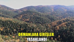 Ormanlara girişler yasaklandı
