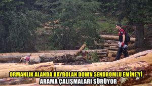 Ormanlık alanda kaybolan down sendromlu Emine'yi arama çalışmaları sürüyor