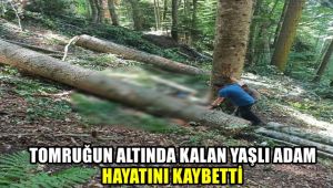 Tomruğun altında kalan yaşlı adam hayatını kaybetti