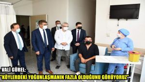 Vali Gürel