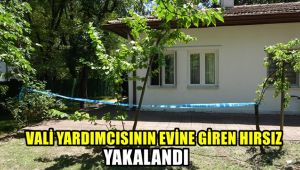 Vali yardımcısının evine giren hırsız yakalandı