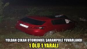 Yoldan çıkan otomobil, şarampole yuvarlandı: 1 ölü 1 yaralı