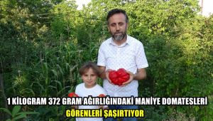 1 kilo 372 gram ağırlığındaki