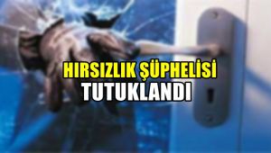 Hırsızlık şüphelisi tutuklandı