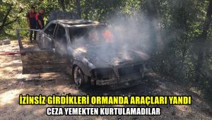 İzinsiz girdikleri ormanda araçları yandı, ceza yemekten kurtulamadılar