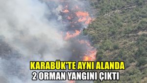 Karabük'te aynı alanda 2 orman yangını çıktı