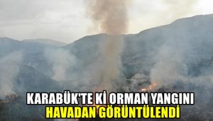 Karabük'teki orman yangını havadan görüntülendi
