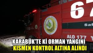 Karabük'teki orman yangını kısmen kontrol altına alındı