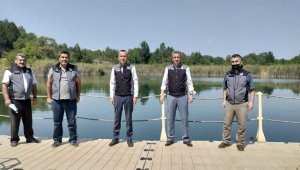 Karabük'te 30 bin yavru sazan balık gölle buluştu