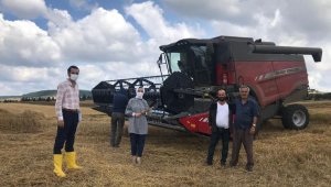 Karabük'te hububat hasadı devam ediyor