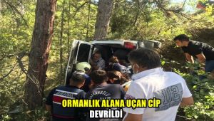 Ormanlık alana uçan cip devrildi: 1 yaralı
