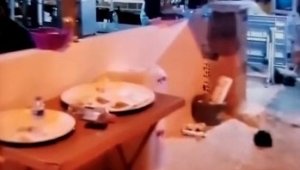 Rastgele ateş açan magandalar tehlike saçtı