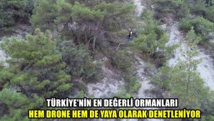 Türkiye'nin en değerli ormanları hem drone hem de yaya olarak denetleniyor