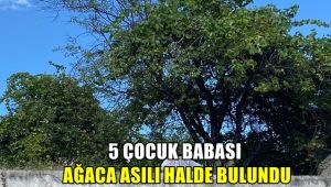 5 Çocuk babası ağaca asılı halde bulundu