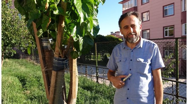 İmam 20 yıldır doğada gördüğü meyve ağaçlarını aşılıyor