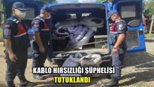 Kablo hırsızlığı şüphelisi tutuklandı