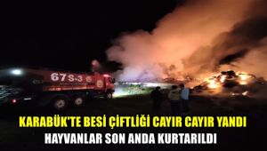 Karabük'te besi çiftliği cayır cayır yandı, hayvanlar son anda kurtarıldı