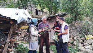 Karabük'te 'Biyolojik Çeşitliliğe Dayalı Geleneksel Bilgiler' kayıt altına alınıyor