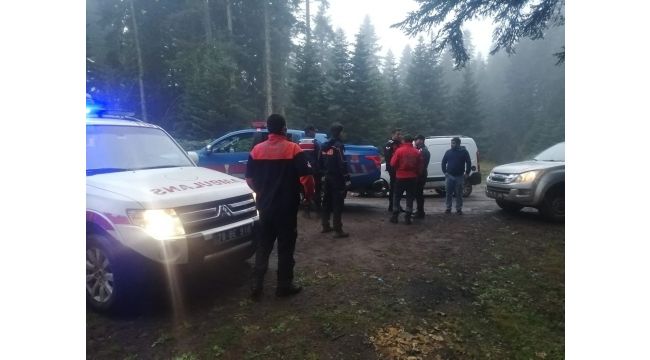 Onlar mantar bulmak için ekipler de onları bulmak için uğraştı