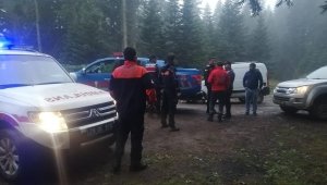 Onlar mantar bulmak için ekipler de onları bulmak için uğraştı