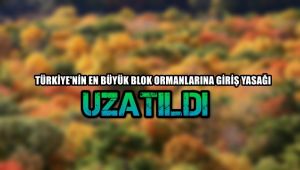 Türkiye'nin en büyük blok ormanlarına giriş-çıkış yasağı uzatıldı