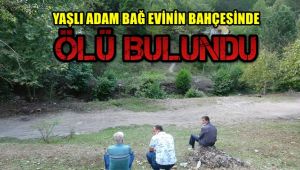 Yaşlı adam bağ evinin bahçesinde ölü bulundu