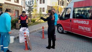Eve giren yılanı kadın itfaiye eri çıkarttı