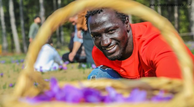 KBÜ’lü Uluslararası Öğrencilerden Safran Hasadı