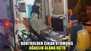 Kontrolden çıkan otomobil ağaçlık alana uçtu : 2 yaralı