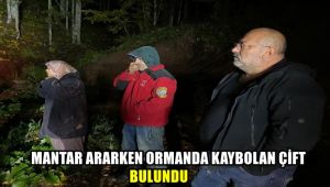 Mantar ararken ormanda kaybolan çift bulundu