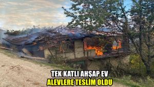 Tek katlı ahşap ev alevlere teslim oldu