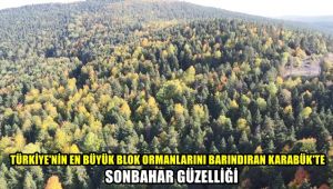 Türkiye'nin en büyük blok ormanlarını barındıran Karabük'te sonbahar güzelliği