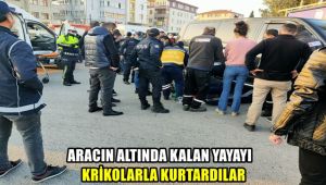 Aracın altında kalan yayayı krikolarla kurtardılar