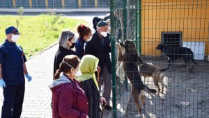 Huzurevi sakinleri hayvan barınağındaki hayvanları besledi