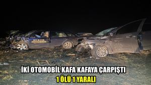İki otomobil kafa kafaya çarpıştı: 1 ölü, 1 yaralı