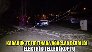 Karabük'te fırtınada ağaçlar devrildi, elektrik telleri koptu