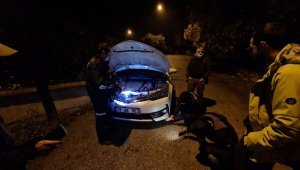 Kedi inatçı çıkınca, gazeteci başka araçla evinin yolunu tuttu