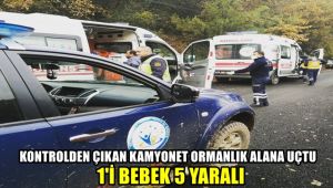 Kontrolden çıkan kamyonet ormanlık alana uçtu: 1'i bebek 5 yaralı