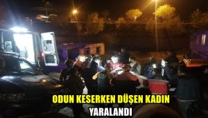 Odun keserken düşen kadın yaralandı