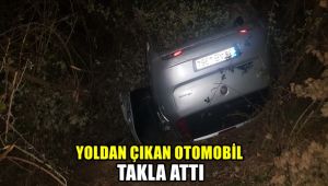 Yoldan çıkan otomobil takla attı: 2 yaralı