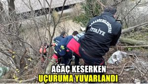 Ağaç keserken uçuruma yuvarlandı