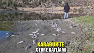 Karabük'te çevre katliamı