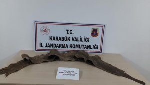 Karabük'te İbranice yazılı çeşitli figürlerin bulunduğu yılan derisi ele geçirildi