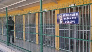 Yasaklı hayvanlar bu merkezdeki özel bölümde rehabilite ediliyor
